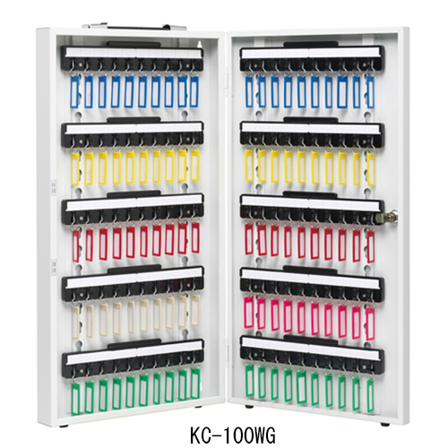 cG[X L[{bNX KC-100WG zCgO[